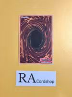 Donpa Marksman Fur Hire EN014 Dark Saviors DASA Yu-Gi-Oh