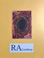 Altitude Knight EN046 The Secret Forces THSF Yu-Gi-Oh