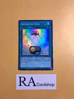 Ascending Soul EN054 The Secret Forces THSF Yu-Gi-Oh