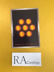 Trusting Relationship Kami TB2-046 Common Reverse Holo World Martial Arts Tournament Dragon Ball