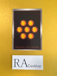 Unyielding Victory Jackie Chun TB2-058 Special Rare Holo World Martial Arts Tournament Dragon Ball