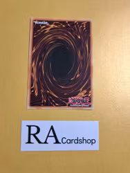 Performapal Trump Witch EN048 Fusion Enforces FUEN Yu-Gi-Oh