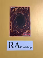 Mark of the Rose EN054 Fusion Enforces FUEN Yu-Gi-Oh