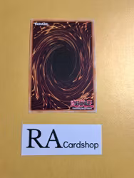 Mark of the Rose EN054 Fusion Enforces FUEN Yu-Gi-Oh