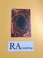 Face Card Fusion 1st ED EN005 Kings Court KICO Yu-Gi-Oh