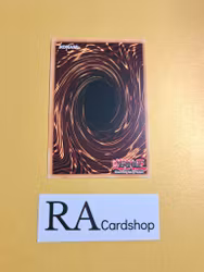 Face Card Fusion 1st ED EN005 Kings Court KICO Yu-Gi-Oh