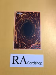 Jokers Wild 1st ED EN007 Kings Court KICO Yu-Gi-Oh