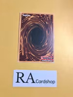 Court of Cards 1st ED EN008 Kings Court KICO Yu-Gi-Oh