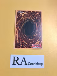 Court of Cards 1st ED EN008 Kings Court KICO Yu-Gi-Oh