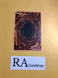 XYZ Hyper Cannon 1st ED EN010 Kings Court KICO Yu-Gi-Oh