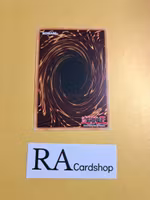 Crystal Girl 1st ED EN015 Kings Court KICO Yu-Gi-Oh