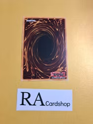 Crystal Girl 1st ED EN015 Kings Court KICO Yu-Gi-Oh