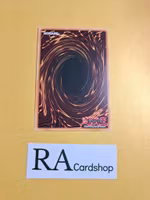 Tindangle Dholes 1st ED EN016 Kings Court KICO Yu-Gi-Oh