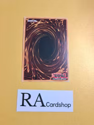 Tindangle Dholes 1st ED EN016 Kings Court KICO Yu-Gi-Oh