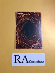 Burning Soul 1st ED EN020 Kings Court KICO Yu-Gi-Oh