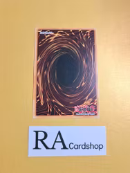 Scrap Twin Dragon 1st ED EN038 Kings Court KICO Yu-Gi-Oh