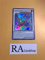 Chaofeng Phantom of the Yang Zing 1st ED EN041 Kings Court KICO Yu-Gi-Oh