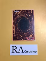 Chaofeng Phantom of the Yang Zing 1st ED EN041 Kings Court KICO Yu-Gi-Oh