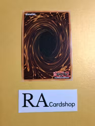 Number 8: HeraldicKing Genom-Heritage EN045 1st EDITION Abyss Rising ABYR Yu-Gi-Oh