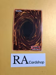 Forbidden Dress EN062 1st EDITION Abyss Rising ABYR Yu-Gi-Oh