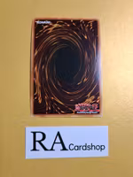 Bubble Bringer EN067 1st EDITION Abyss Rising ABYR Yu-Gi-Oh