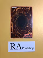 Abyss-Squall EN071 1st EDITION Abyss Rising ABYR Yu-Gi-Oh