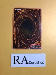 That Wacky Alchemy! EN077 1st EDITION Abyss Rising ABYR Yu-Gi-Oh