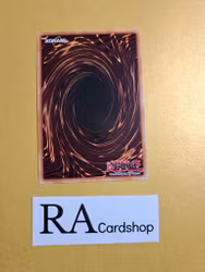 Sun God Unification 1st EDITION EN007 Legendary Duelists: Rage of Ra LED7 Yu-Gi-Oh