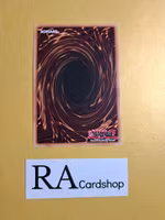 Meklord Nucleus Infinity Core 1st EDITION EN018 Legendary Duelists: Rage of Ra LED7 Yu-Gi-Oh