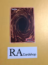 Meklord Nucleus Infinity Core 1st EDITION EN018 Legendary Duelists: Rage of Ra LED7 Yu-Gi-Oh