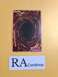 Hammer Bounzer 1st EDITION EN009 Galactic Overlord GAOV Yu-Gi-Oh