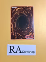 Xyz Unit 1st EDITION EN062 Galactic Overlord GAOV Yu-Gi-Oh