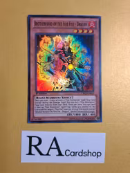 Brotherhood of the Fire Fist - Swallow 1st EDITION EN027 Cosmo Blazer CBLZ Yu-Gi-Oh