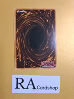 Brotherhood of the Fire Fist - Swallow 1st EDITION EN027 Cosmo Blazer CBLZ Yu-Gi-Oh