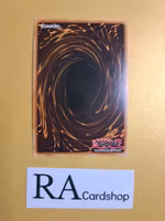 Fool of Prophecy 1st EDITION EN035 Cosmo Blazer CBLZ Yu-Gi-Oh