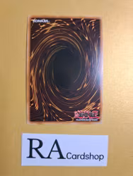 Fool of Prophecy 1st EDITION EN035 Cosmo Blazer CBLZ Yu-Gi-Oh