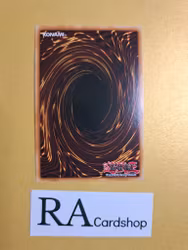 Gagagadraw EN055 Cosmo Blazer CBLZ Yu-Gi-Oh