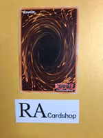 Satellarknight Rigel LIMITED EDITION ENS05 Eternity SECE Yu-Gi-Oh