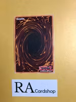 Lightning Rod Lord EN037 Eternity SECE Yu-Gi-Oh