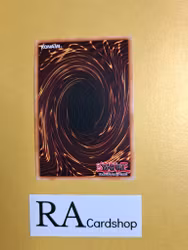 Lightning Rod Lord EN037 Eternity SECE Yu-Gi-Oh