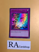 Eye of the Void 1st EDITION EN071 Eternity SECE Yu-Gi-Oh