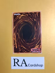 Eye of the Void 1st EDITION EN071 Eternity SECE Yu-Gi-Oh