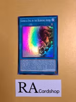 Good & Evil in the Burning Abyss 1st EDITION EN086 Eternity SECE Yu-Gi-Oh