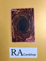 Good & Evil in the Burning Abyss 1st EDITION EN086 Eternity SECE Yu-Gi-Oh