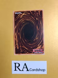 Good & Evil in the Burning Abyss 1st EDITION EN086 Eternity SECE Yu-Gi-Oh