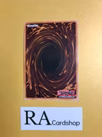 Good & Evil in the Burning Abyss LIMITED EDITION ENS14 Eternity SECE Yu-Gi-Oh