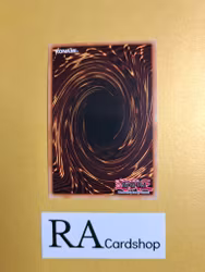 Good & Evil in the Burning Abyss LIMITED EDITION ENS14 Eternity SECE Yu-Gi-Oh