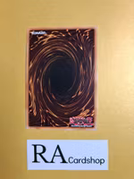 Superheavy Samurai Flutist LIMITED EDITION ENS01 Eternity SECE Yu-Gi-Oh