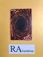 Superheavy Samurai Trumpeter LIMITED EDITION ENS02 Eternity SECE Yu-Gi-Oh