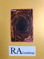 Lightning Rod Lord LIMITED EDITION ENS09 Eternity SECE Yu-Gi-Oh